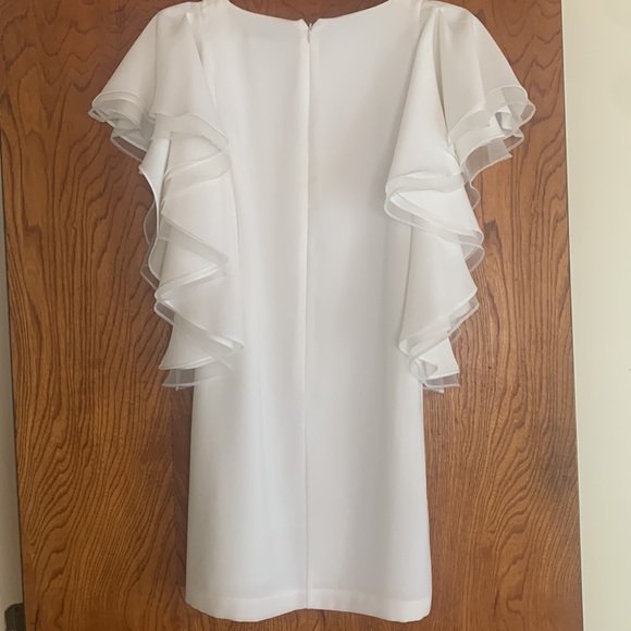 BCBG shift dress 0 - Picture 5 of 7